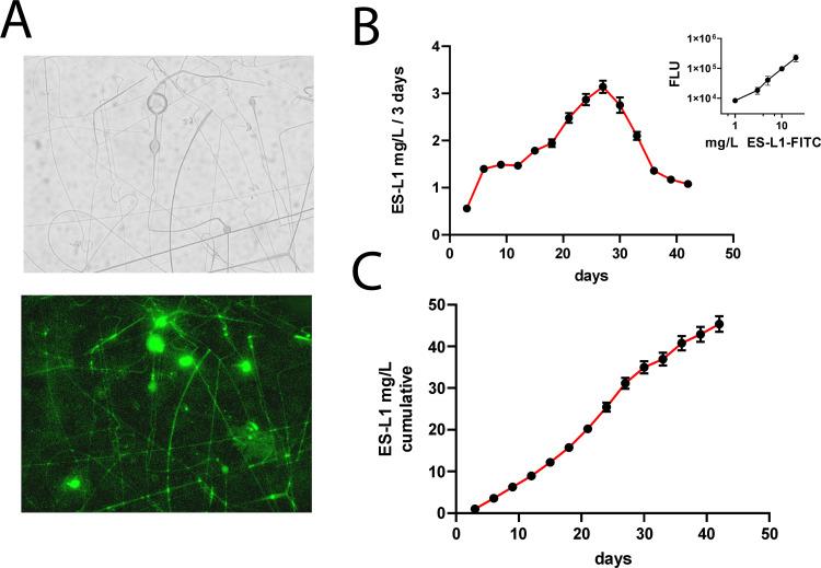 https://cdn.ncbi.nlm.nih.gov/pmc/blobs/49b9/11830953/f3b9a7351133/IJN-20-1921-g0003.jpg