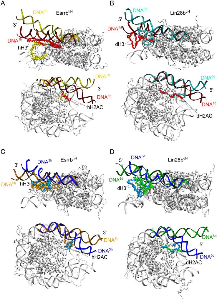 https://cdn.ncbi.nlm.nih.gov/pmc/blobs/49ba/8174689/754010868ba0/pcbi.1009013.g006.jpg