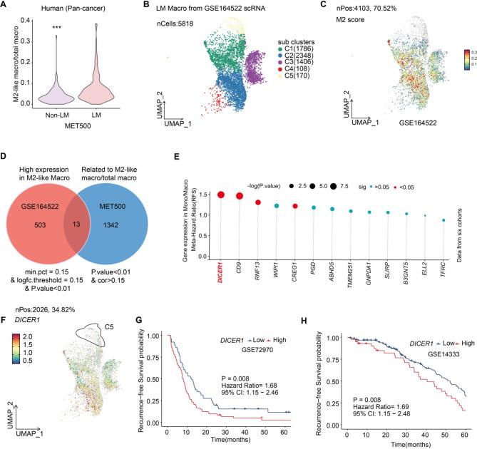 https://cdn.ncbi.nlm.nih.gov/pmc/blobs/49bb/12142937/421714963bc1/12951_2025_3518_Fig1_HTML.jpg