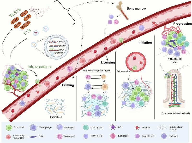 https://cdn.ncbi.nlm.nih.gov/pmc/blobs/49be/11422510/27a199ddbd3f/41392_2024_1937_Fig2_HTML.jpg