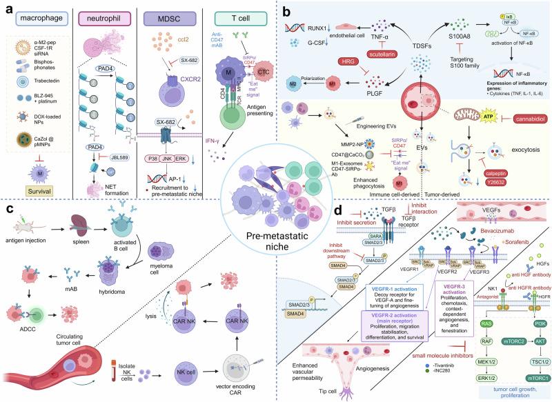 https://cdn.ncbi.nlm.nih.gov/pmc/blobs/49be/11422510/a0efa07df153/41392_2024_1937_Fig5_HTML.jpg