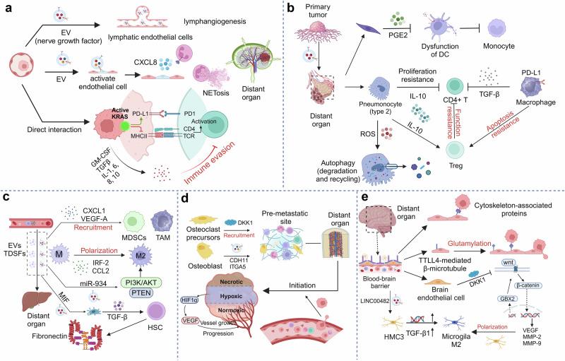 https://cdn.ncbi.nlm.nih.gov/pmc/blobs/49be/11422510/e695847334f5/41392_2024_1937_Fig4_HTML.jpg