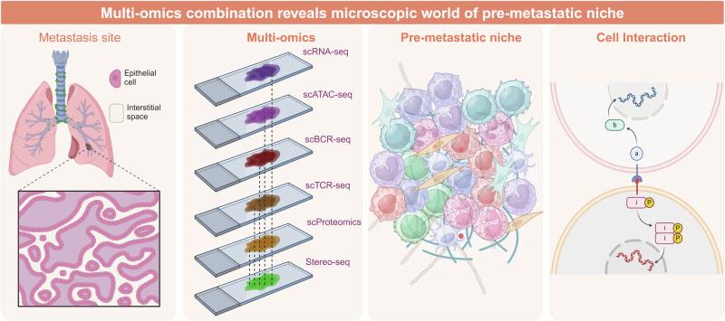 https://cdn.ncbi.nlm.nih.gov/pmc/blobs/49be/11422510/f3587ca9a447/41392_2024_1937_Fig6_HTML.jpg