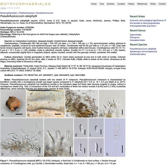https://cdn.ncbi.nlm.nih.gov/pmc/blobs/49bf/8517499/85bc4305ba07/baab061f8.jpg