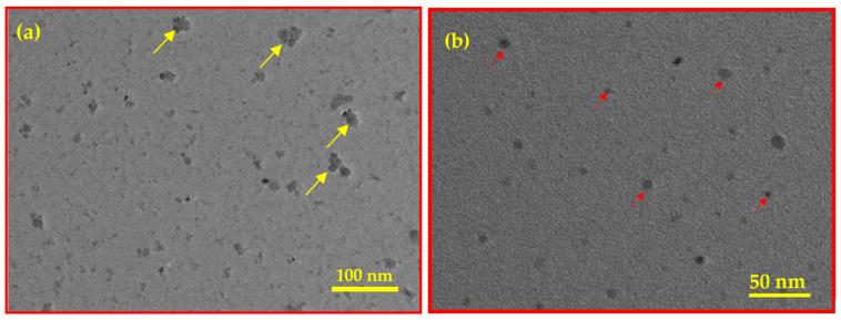 https://cdn.ncbi.nlm.nih.gov/pmc/blobs/49c0/12072255/af332f2a3d7d/materials-18-02049-g004.jpg
