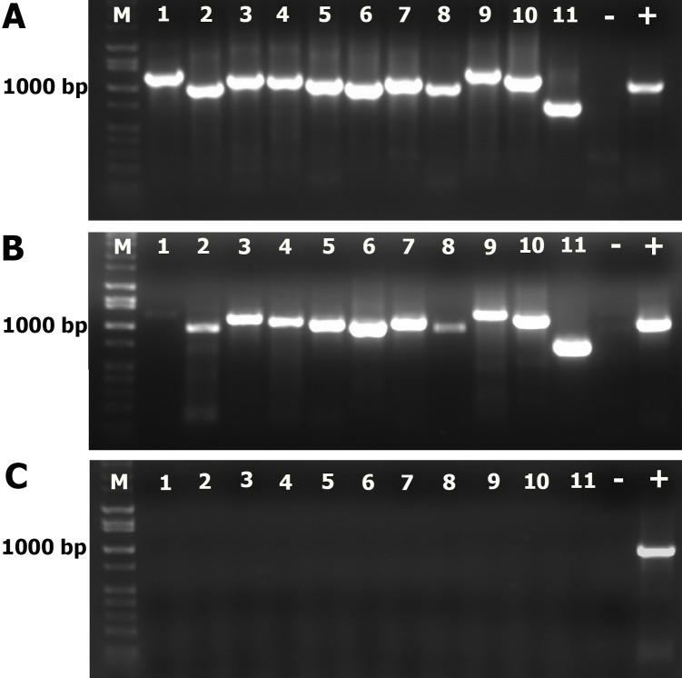 https://cdn.ncbi.nlm.nih.gov/pmc/blobs/49c0/5864060/8f6930ccf4ab/pone.0194618.g009.jpg