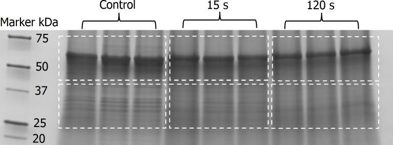 https://cdn.ncbi.nlm.nih.gov/pmc/blobs/49c0/5864060/aff303c3b29b/pone.0194618.g005.jpg