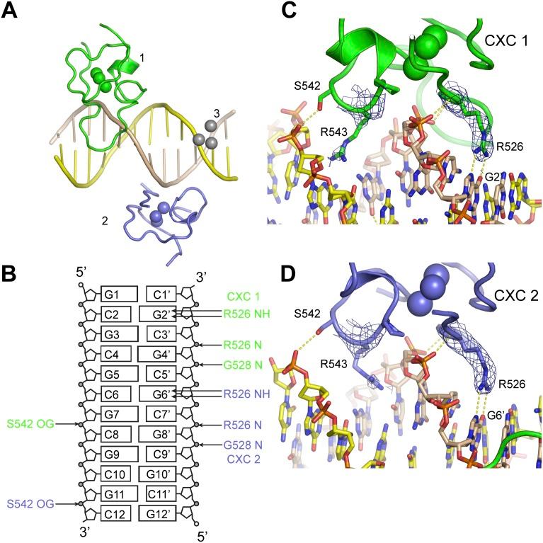 https://cdn.ncbi.nlm.nih.gov/pmc/blobs/49c2/4248295/8b91e777c0f9/2652fig5.jpg