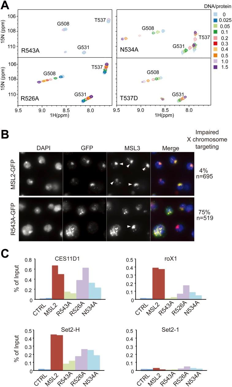 https://cdn.ncbi.nlm.nih.gov/pmc/blobs/49c2/4248295/9784099daa22/2652fig4.jpg