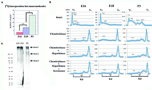 https://cdn.ncbi.nlm.nih.gov/pmc/blobs/49c2/7029624/84ad429fbd2f/ejh-64-1-3092-g007.jpg