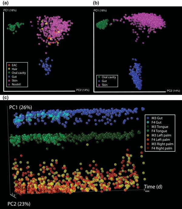https://cdn.ncbi.nlm.nih.gov/pmc/blobs/49c3/3271711/138292928944/gb-2011-12-5-r50-1.jpg