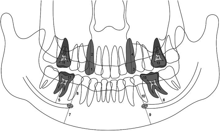 https://cdn.ncbi.nlm.nih.gov/pmc/blobs/49c3/8404498/cf60b60c1e7e/CRE2-7-539-g003.jpg