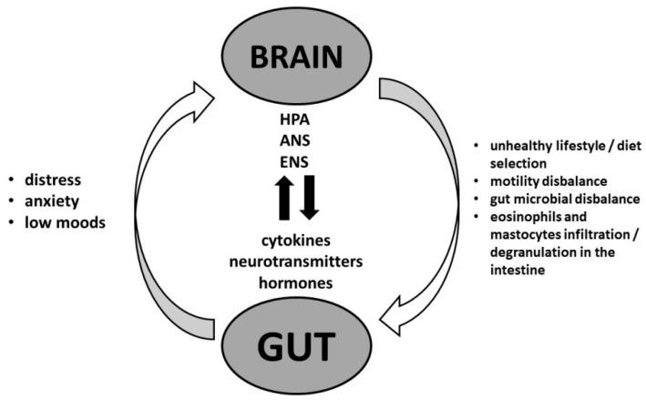 https://cdn.ncbi.nlm.nih.gov/pmc/blobs/49c4/10888556/0113deb11125/ijerph-21-00237-g001.jpg