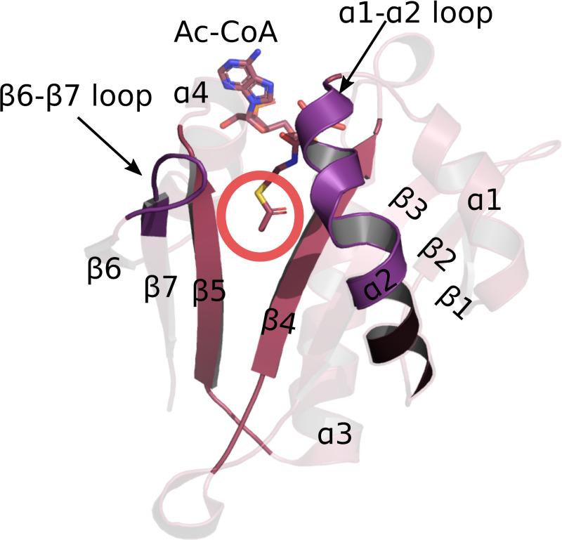 https://cdn.ncbi.nlm.nih.gov/pmc/blobs/49c4/7790372/42cdd782fa9d/pcbi.1007988.g001.jpg