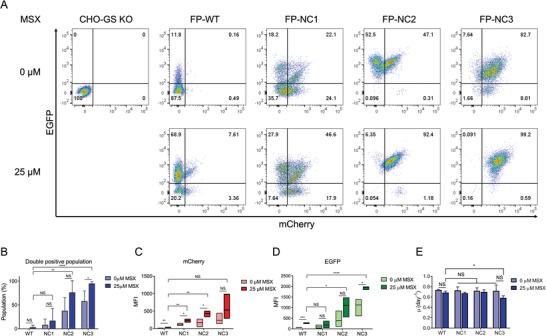 https://cdn.ncbi.nlm.nih.gov/pmc/blobs/49c6/11481413/5167570638f3/ADVS-11-2405593-g003.jpg