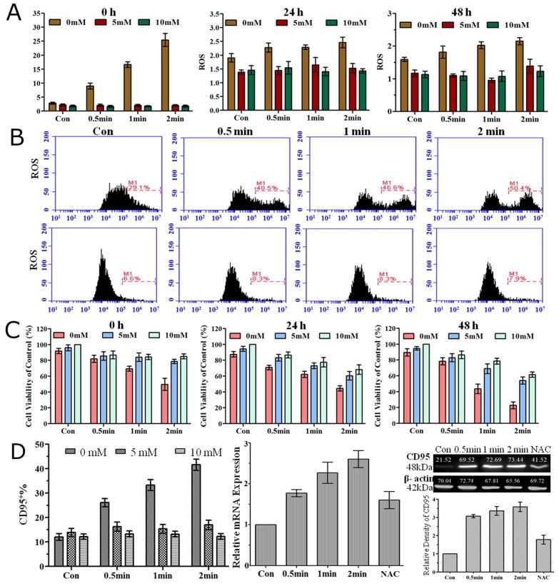 https://cdn.ncbi.nlm.nih.gov/pmc/blobs/49c8/5915053/566658865207/oncotarget-09-18002-g006.jpg