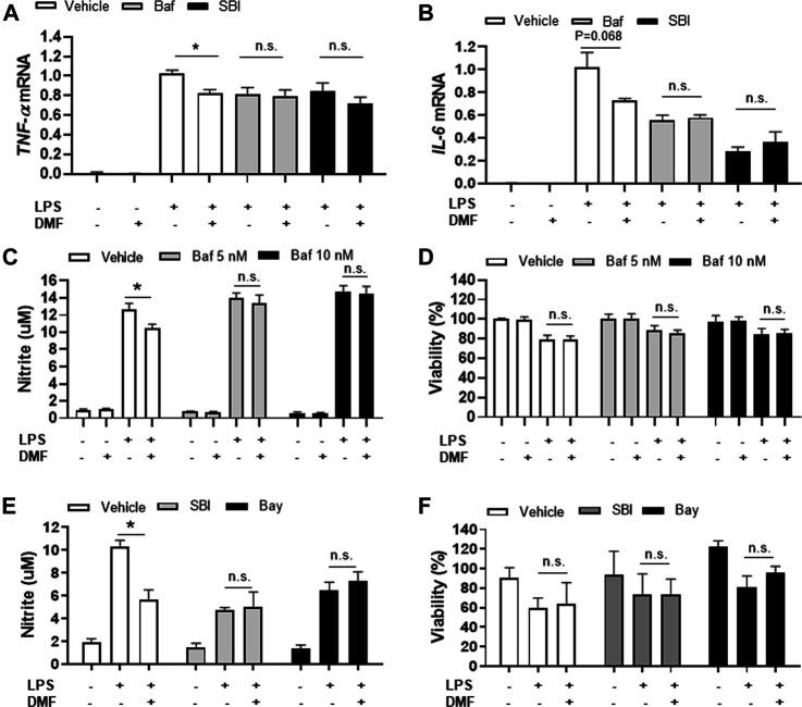 https://cdn.ncbi.nlm.nih.gov/pmc/blobs/49c8/8137969/8b781190a795/fphar-12-612981-g005.jpg