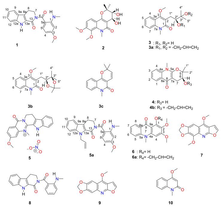 https://cdn.ncbi.nlm.nih.gov/pmc/blobs/49c8/8838469/019ab6d66e70/molecules-27-01104-g001.jpg
