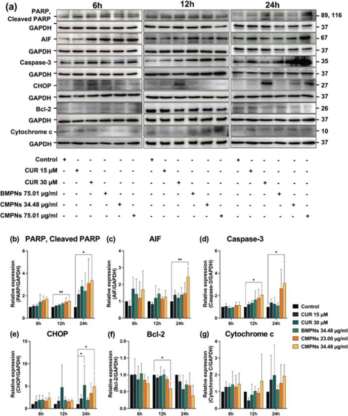 https://cdn.ncbi.nlm.nih.gov/pmc/blobs/49c9/11752495/461443b33d7c/mt4c01832_0008.jpg