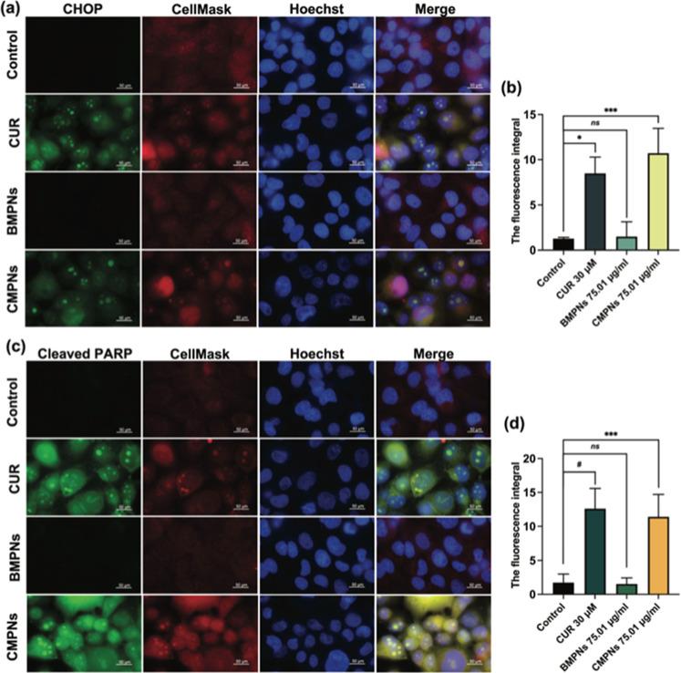 https://cdn.ncbi.nlm.nih.gov/pmc/blobs/49c9/11752495/8c753b85bd9d/mt4c01832_0009.jpg