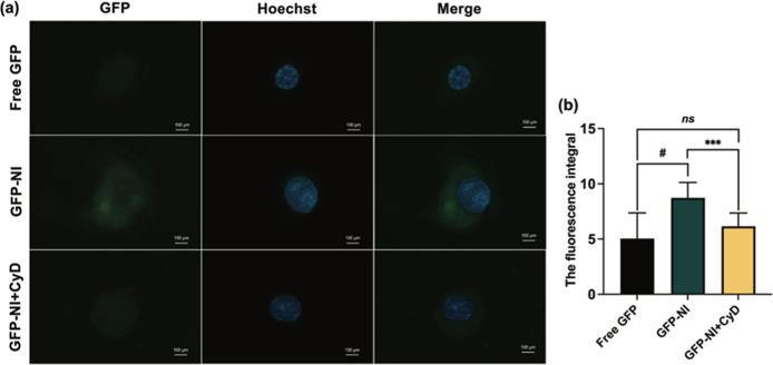 https://cdn.ncbi.nlm.nih.gov/pmc/blobs/49c9/11752495/dfdd71c86680/mt4c01832_0004.jpg