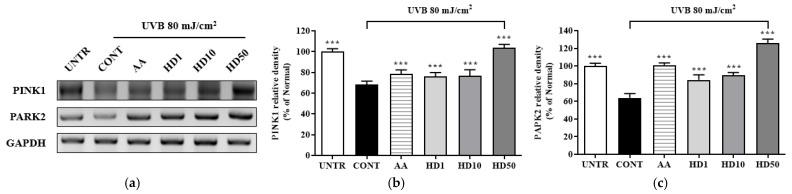 https://cdn.ncbi.nlm.nih.gov/pmc/blobs/49cb/11767327/19b2b1ef5ab2/molecules-30-00261-g006a.jpg