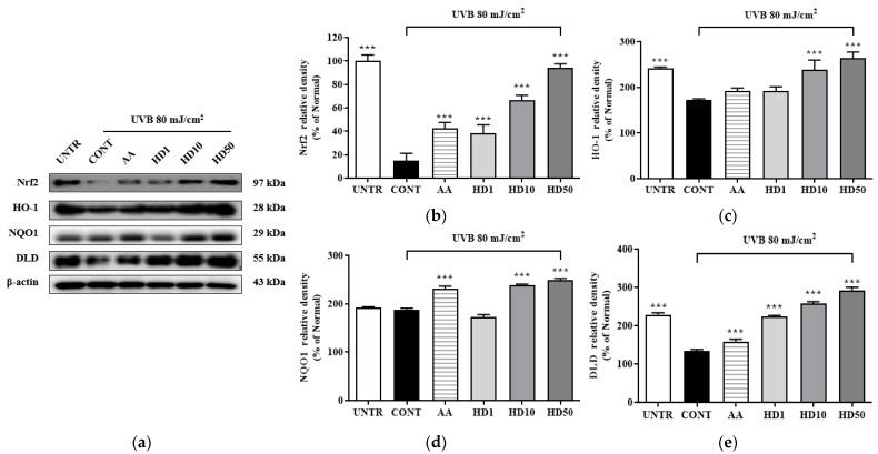 https://cdn.ncbi.nlm.nih.gov/pmc/blobs/49cb/11767327/273f9de561e0/molecules-30-00261-g010.jpg