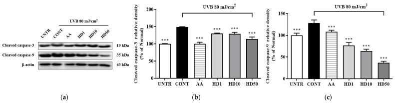 https://cdn.ncbi.nlm.nih.gov/pmc/blobs/49cb/11767327/6c06a93ec062/molecules-30-00261-g009.jpg