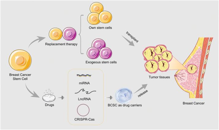 https://cdn.ncbi.nlm.nih.gov/pmc/blobs/49cd/11964876/23e36725c2d7/OncolRes-33-50505-f002.jpg