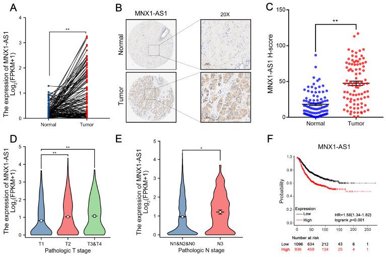 https://cdn.ncbi.nlm.nih.gov/pmc/blobs/49ce/12160916/0fdc32ec7d5a/ijbsv21p3689g001.jpg