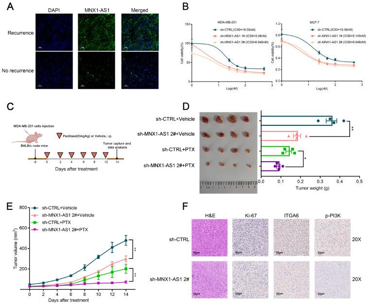 https://cdn.ncbi.nlm.nih.gov/pmc/blobs/49ce/12160916/adfe65f6ef00/ijbsv21p3689g004.jpg