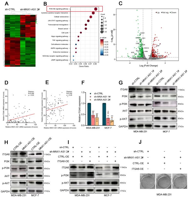 https://cdn.ncbi.nlm.nih.gov/pmc/blobs/49ce/12160916/bbf9c328a374/ijbsv21p3689g003.jpg