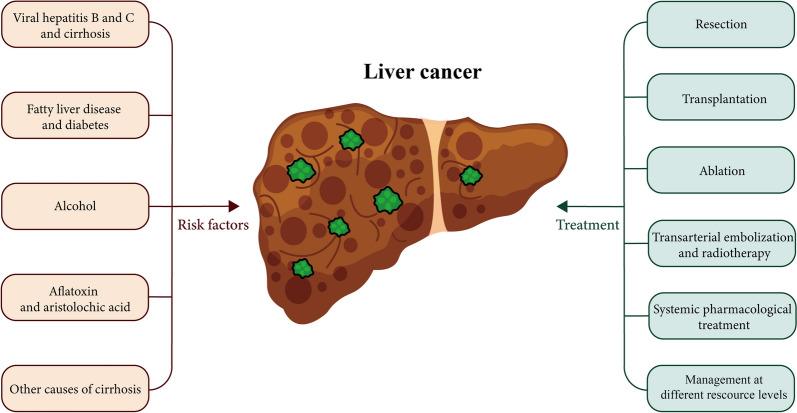https://cdn.ncbi.nlm.nih.gov/pmc/blobs/49d0/12278600/57a0985a65bb/40001_2025_2922_Fig1_HTML.jpg