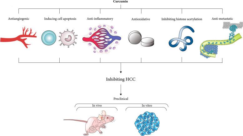 https://cdn.ncbi.nlm.nih.gov/pmc/blobs/49d0/12278600/6cc5a277c7b5/40001_2025_2922_Fig5_HTML.jpg