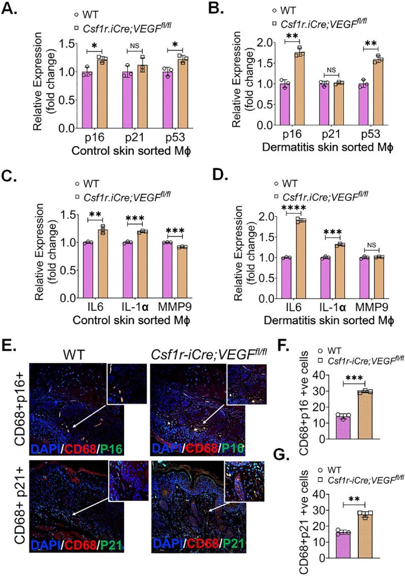 https://cdn.ncbi.nlm.nih.gov/pmc/blobs/49d0/12406352/38c3680099d7/12967_2025_7016_Fig5_HTML.jpg