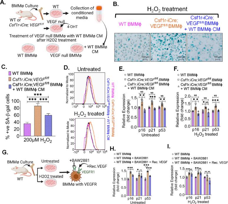 https://cdn.ncbi.nlm.nih.gov/pmc/blobs/49d0/12406352/8754650d1b3d/12967_2025_7016_Fig2_HTML.jpg
