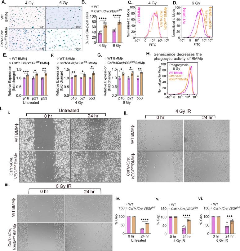https://cdn.ncbi.nlm.nih.gov/pmc/blobs/49d0/12406352/8c30027c6cc8/12967_2025_7016_Fig3_HTML.jpg