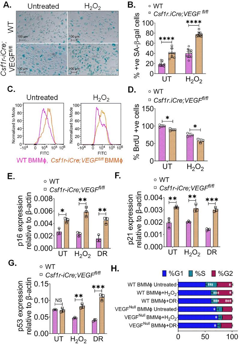 https://cdn.ncbi.nlm.nih.gov/pmc/blobs/49d0/12406352/e6133a9372ab/12967_2025_7016_Fig1_HTML.jpg