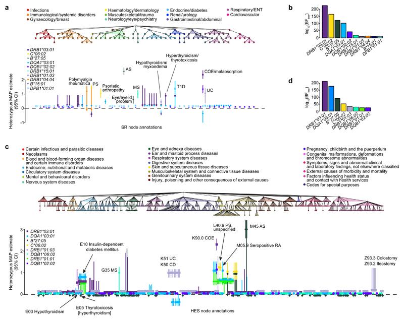 https://cdn.ncbi.nlm.nih.gov/pmc/blobs/49d1/5580804/20c71c576952/emss-73360-f004.jpg