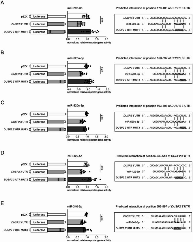https://cdn.ncbi.nlm.nih.gov/pmc/blobs/49d6/12180267/7fb34546e236/12885_2025_14434_Fig4_HTML.jpg