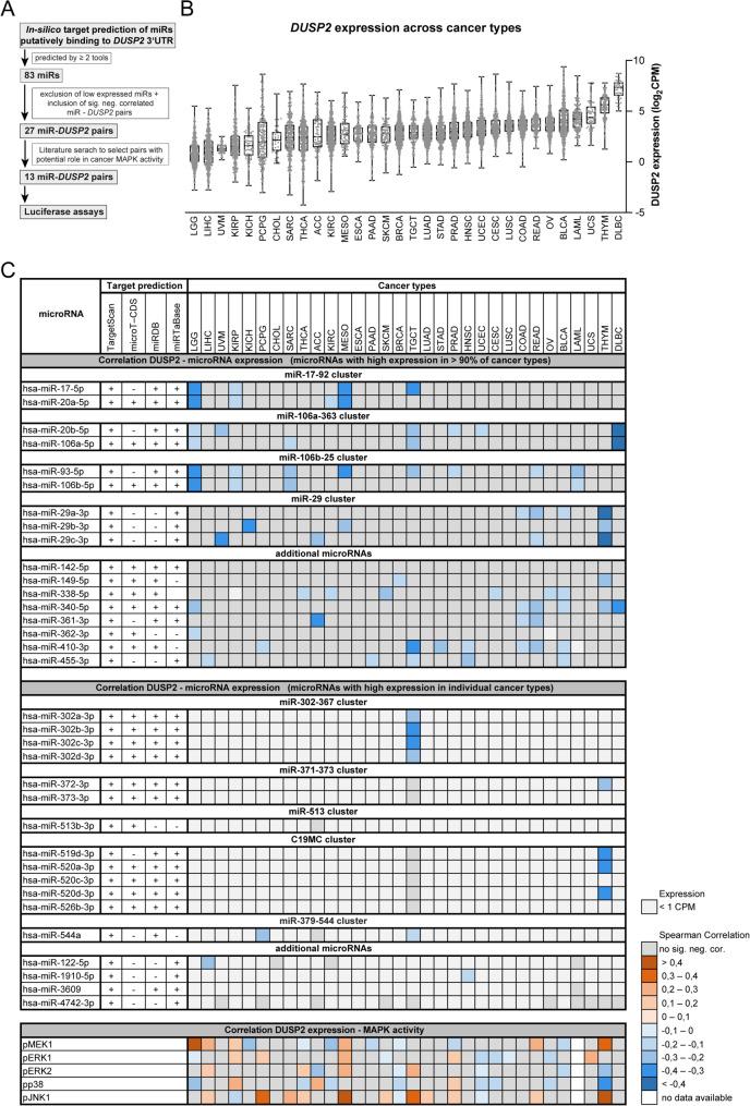 https://cdn.ncbi.nlm.nih.gov/pmc/blobs/49d6/12180267/a2727ebfdfc1/12885_2025_14434_Fig1_HTML.jpg