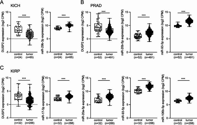 https://cdn.ncbi.nlm.nih.gov/pmc/blobs/49d6/12180267/ab3d4caf6de4/12885_2025_14434_Fig2_HTML.jpg