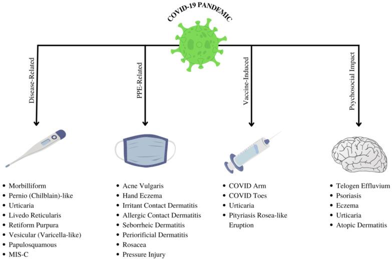 https://cdn.ncbi.nlm.nih.gov/pmc/blobs/49d8/9326733/b3a6355e63ba/dermatopathology-09-00027-g001.jpg