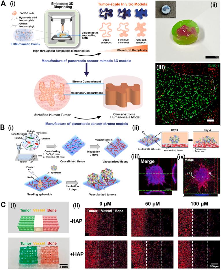 https://cdn.ncbi.nlm.nih.gov/pmc/blobs/49da/12281243/499273523e4d/gr8.jpg
