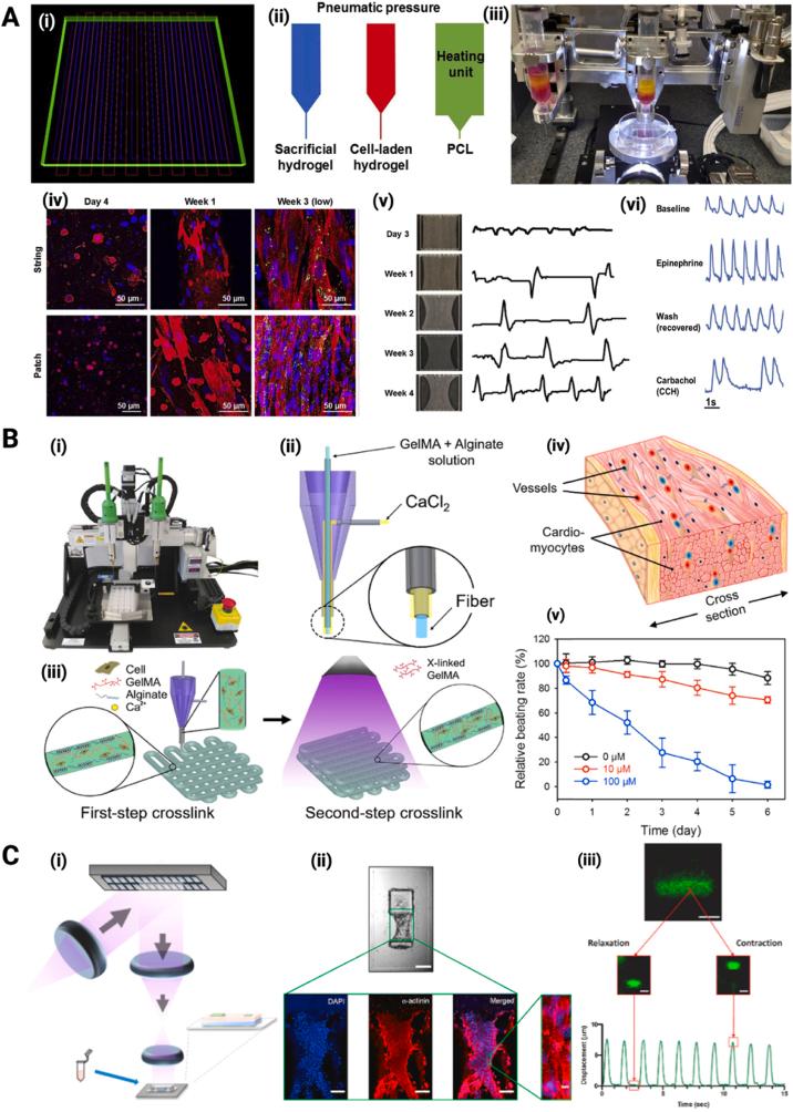 https://cdn.ncbi.nlm.nih.gov/pmc/blobs/49da/12281243/5d594c647099/gr6.jpg