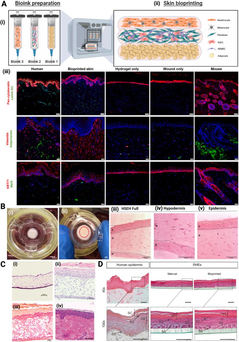 https://cdn.ncbi.nlm.nih.gov/pmc/blobs/49da/12281243/83902646c8fb/gr5.jpg