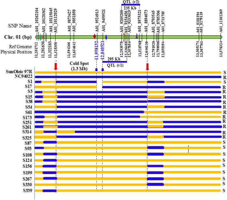https://cdn.ncbi.nlm.nih.gov/pmc/blobs/49dc/11887336/2fb3e68381aa/12864_2025_11366_Fig5_HTML.jpg