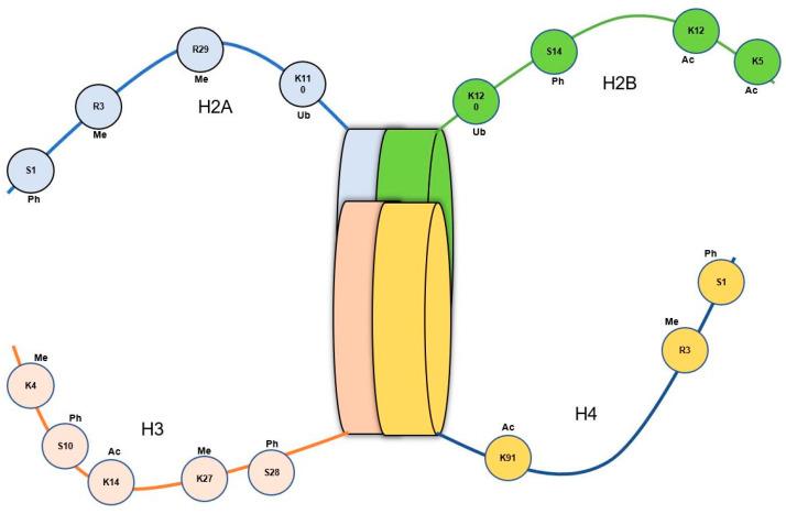 https://cdn.ncbi.nlm.nih.gov/pmc/blobs/49de/10531180/22060a259977/genes-14-01682-g004.jpg