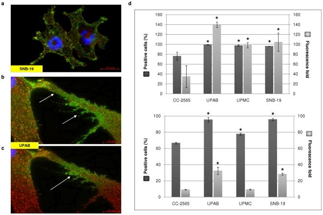 https://cdn.ncbi.nlm.nih.gov/pmc/blobs/49de/3281850/fda0dbbdeb02/pone.0030691.g001.jpg