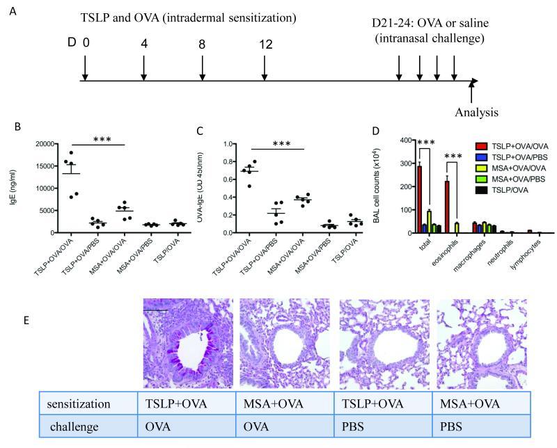 https://cdn.ncbi.nlm.nih.gov/pmc/blobs/49e1/3328620/2952470155d3/nihms-354779-f0001.jpg